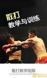 散打教学视频下载,实战技巧与训练方法全揭秘