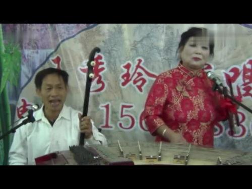 河南豫东琴书视频,传承与创新的艺术之旅