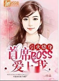 明星boss爱上我小说,从职场对手到爱情恋人