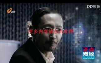 山东卫视回看在线播放,重温经典，畅享精彩瞬间