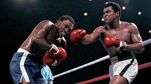 阿里拳击比赛视频,阿里拳击比赛精彩瞬间回顾