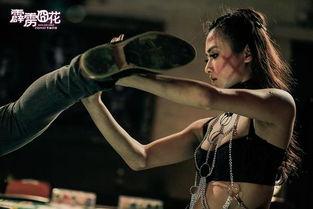 霹雳囧花免费观看