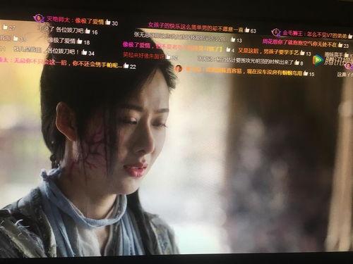 蛛儿视频,揭秘网络世界的蛛丝马迹