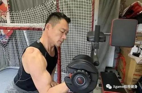 内地肌肉明星,力量与魅力的完美融合